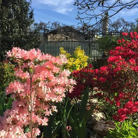 Le Bricolle Dom wakacyjny Viggiù